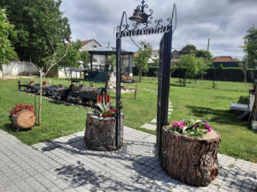 Hotels in Oiã